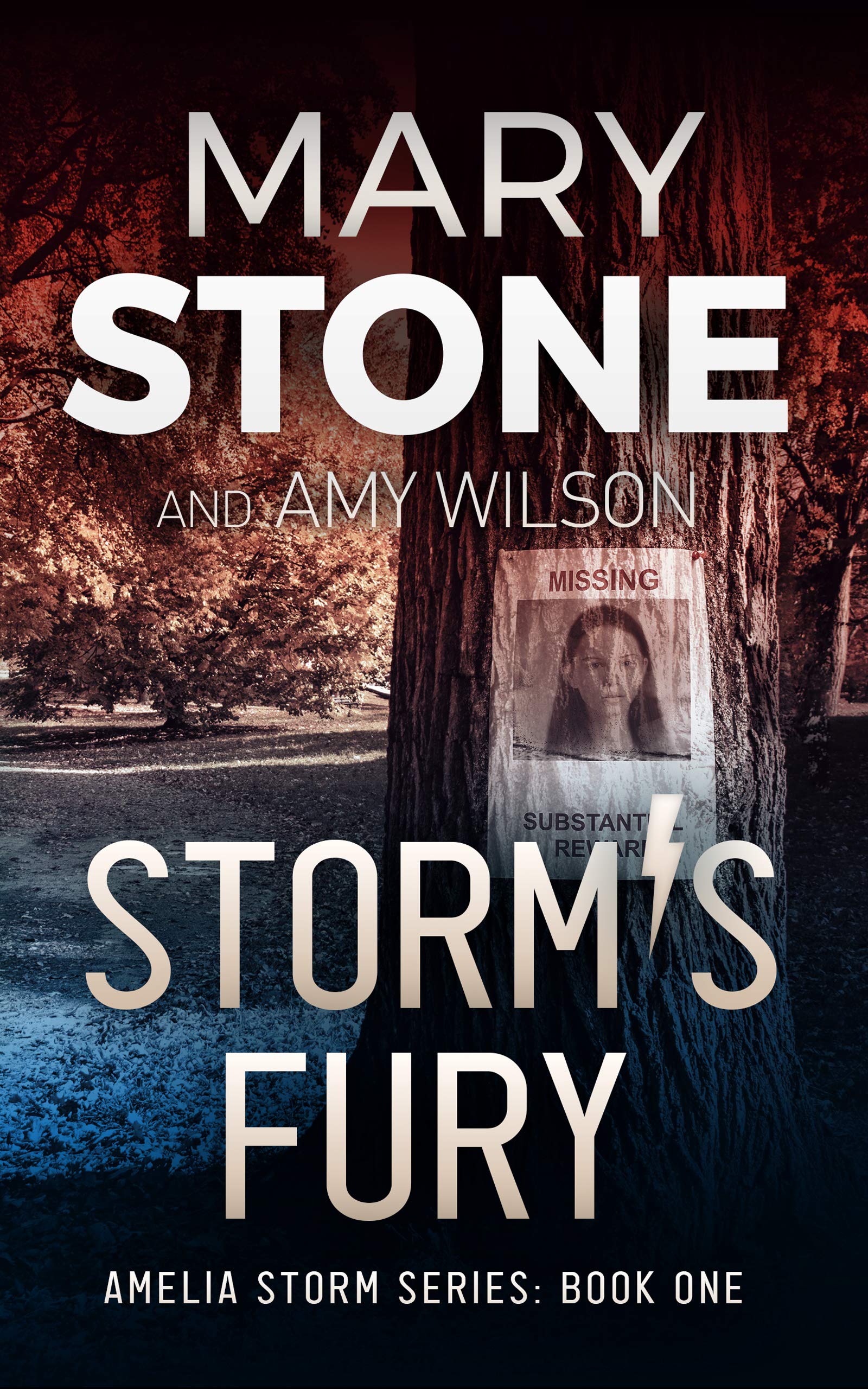 Storm's Fury (Amelia Storm FBI Mystery Series Book 1)