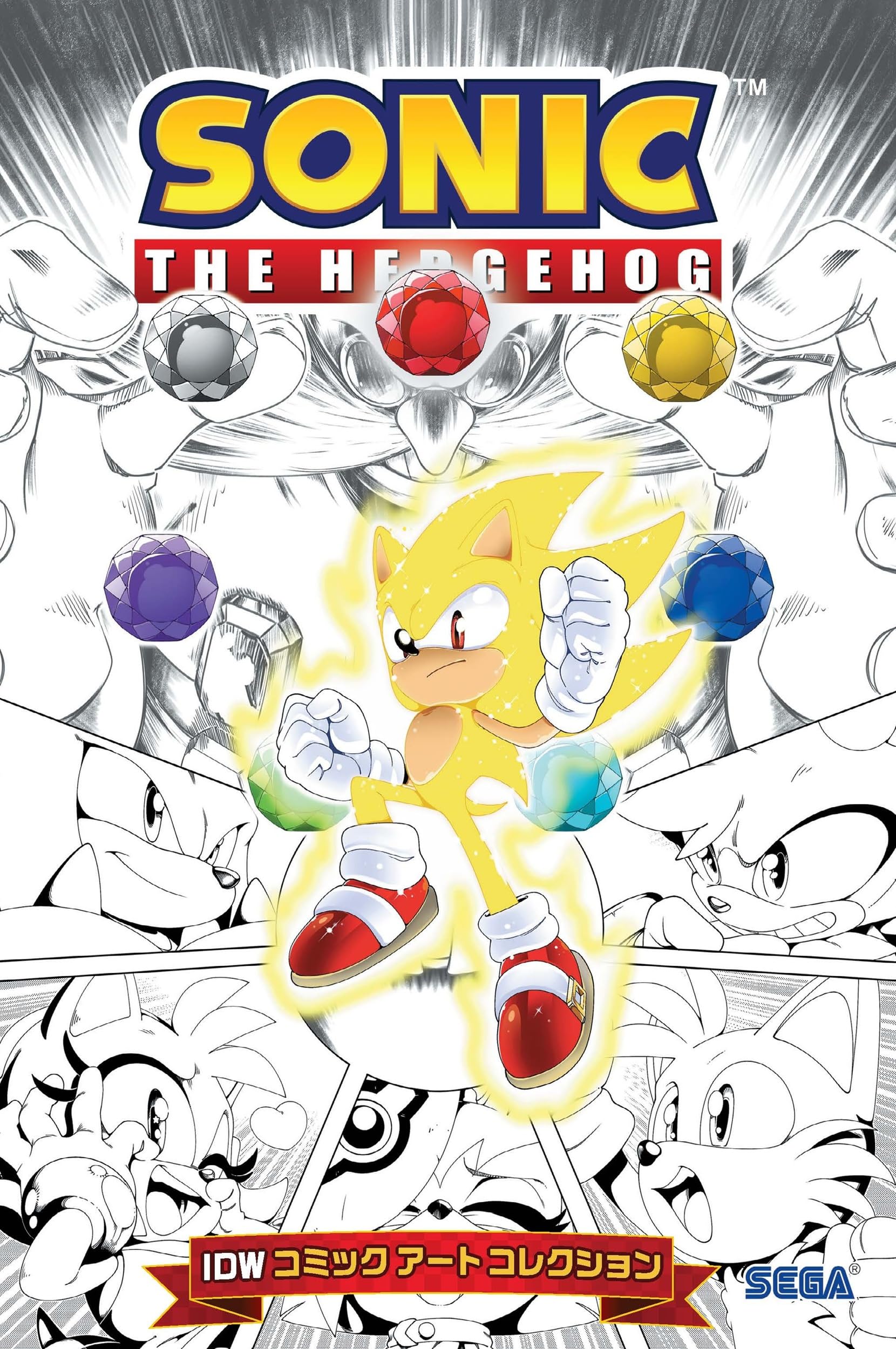 ソニック・ザ・ヘッジホッグ：IDWコミックアートコレクション 限定