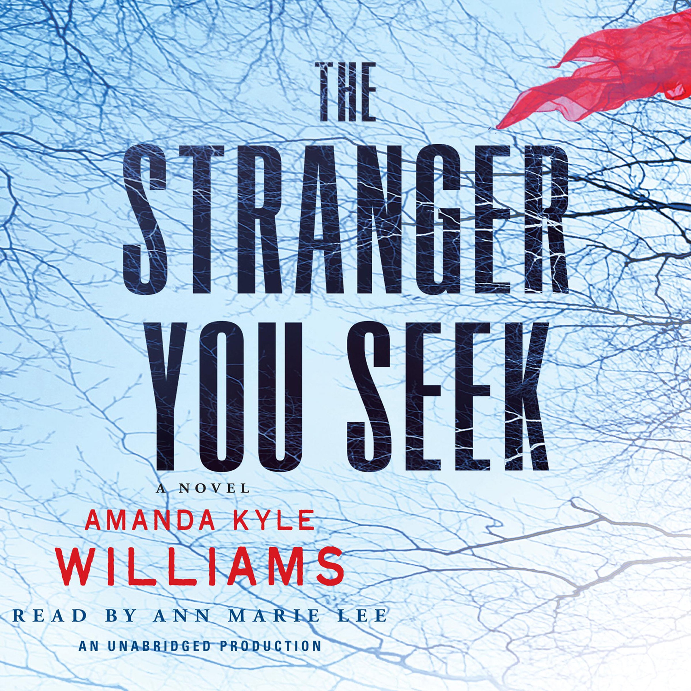 Cover art for The Stranger You Seek