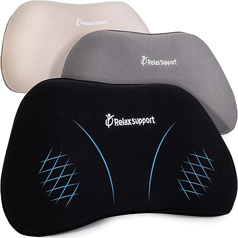 amazon back pain pillow