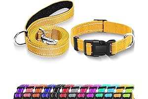 Yellow Puppy Collar: Neon Visibility, Durable Protection