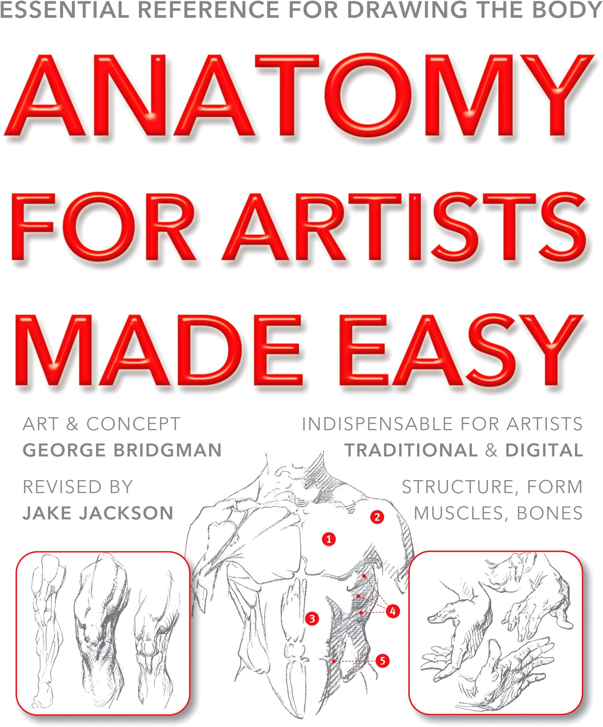 Anatomy for Artists Made Easy (Made Easy (Art)): Essential reference for drawing the body Paperback – 10 Jun. 2015