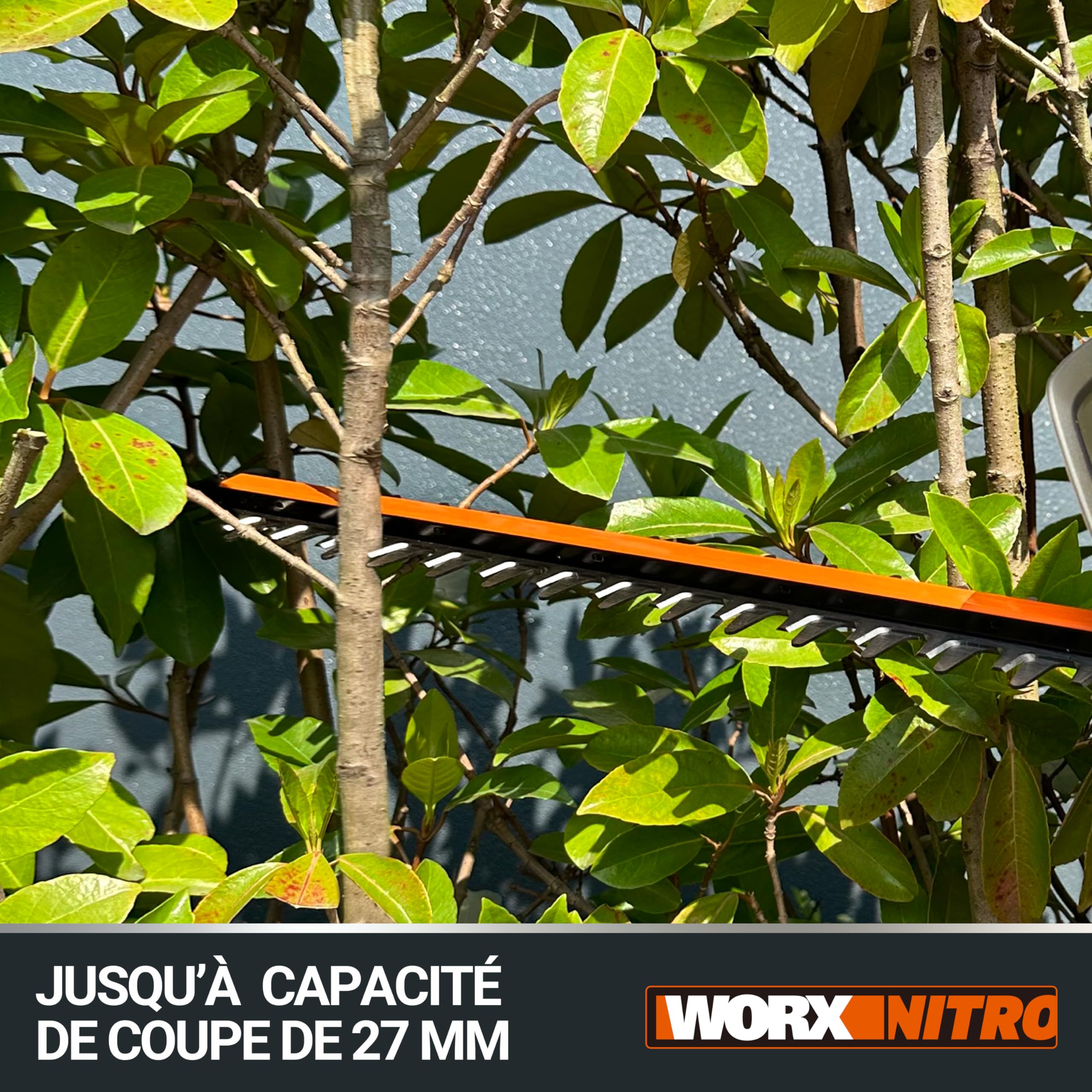 WORX Nitro 36V (40V MAX) Nożyce do żywopłotu Teleskopowe WG286E.1, PowerShare, Bezszczotkowe, Długość cięcia 58 cm, maks. grubość Cięcia 27mm