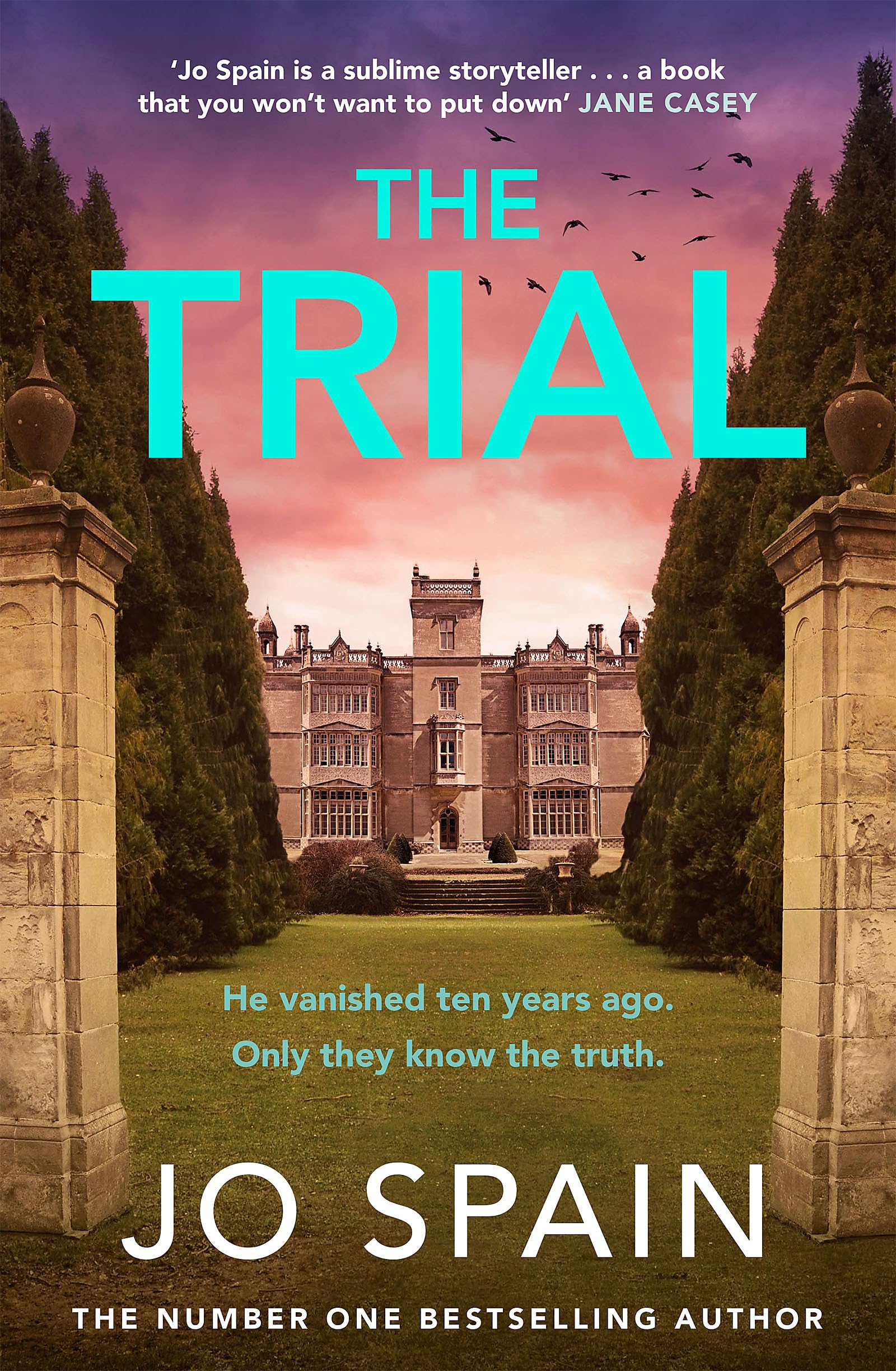 Buy The Trial: the new gripping page-turner from the author of THE PERFECT LIE — BookShops.in