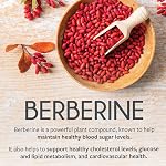 Bébérine 1000mg | Cholestérol sain, glucose & Métabolisme lipidique & Soutien à la santé cardiovasculaire - Supplément berbère à haute puissance avec Bitter Melon & Extrait de banane fabriqué au Canada 90 Ct