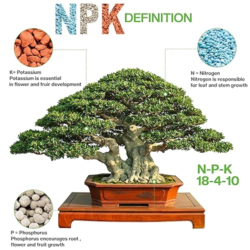 Miniatura 9 de Fertilizante multiusos para bonsái de The Bonsai Supply - 2Lbs  Resultados rápidos  Micro nutrientes para la salud de los bonsáis vitales