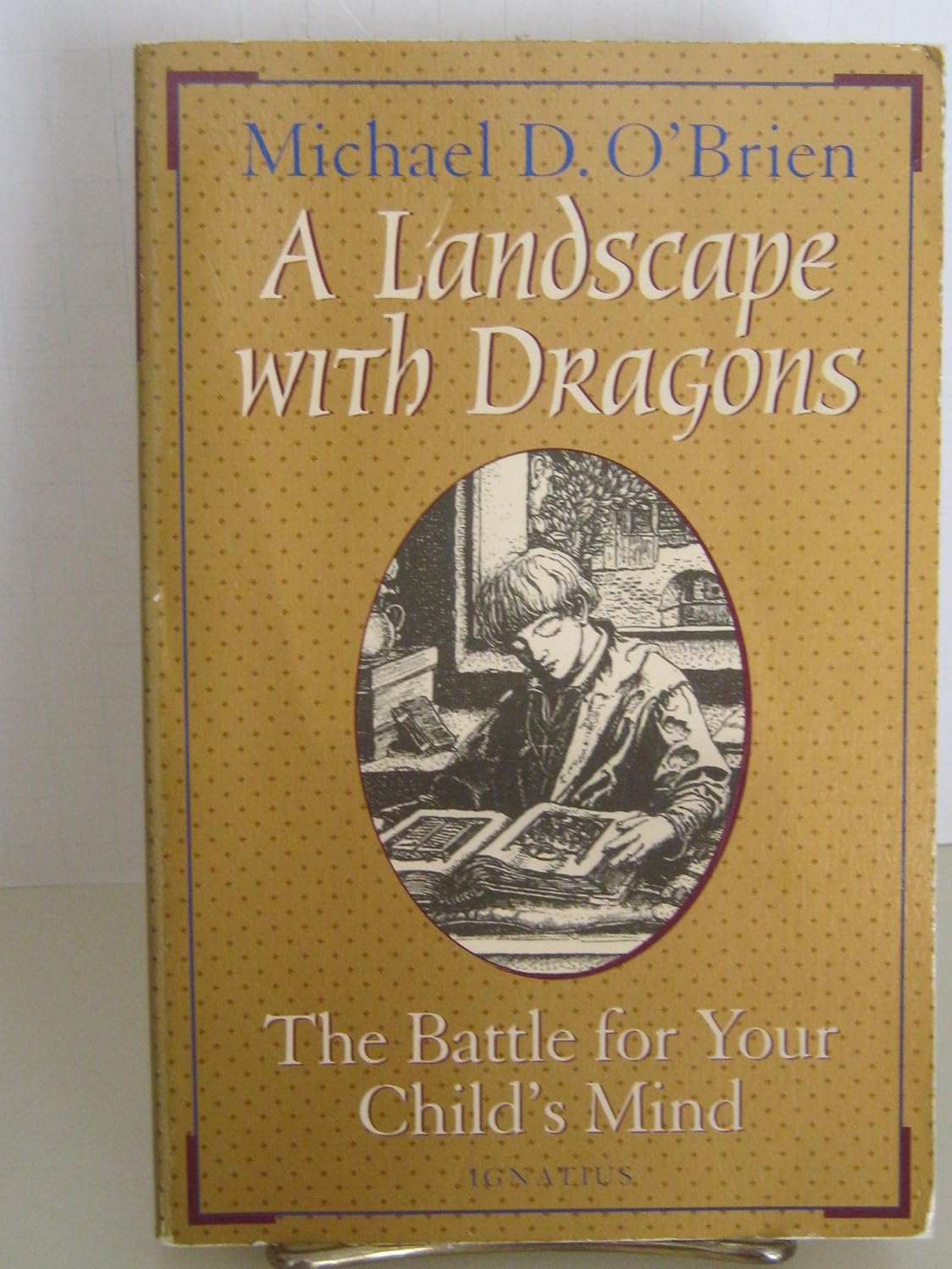 A Landscape With Dragons The Battle for Your Child's Mind