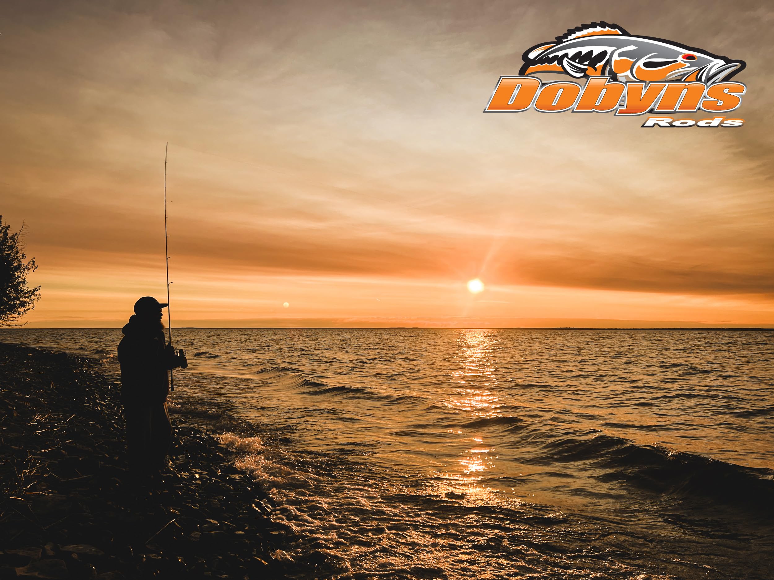 Dobyns Rods E.C. Special Spinning / 7’0” / 1 PC / 4-8 LB LINE Weight / 1/16-1/4 OZ Lure Weight/Light Fast Action/Cork-Split Handle with FOREGRIP