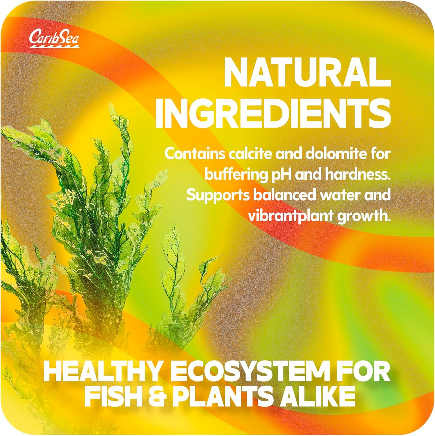 CaribSea Eco-Complete Planted Aquarium Substrate - 20 lbs - Black Nutrient-Rich Gravel for Freshwater Planted Tanks - Promotes Healthy Plant Growth & Water Stability