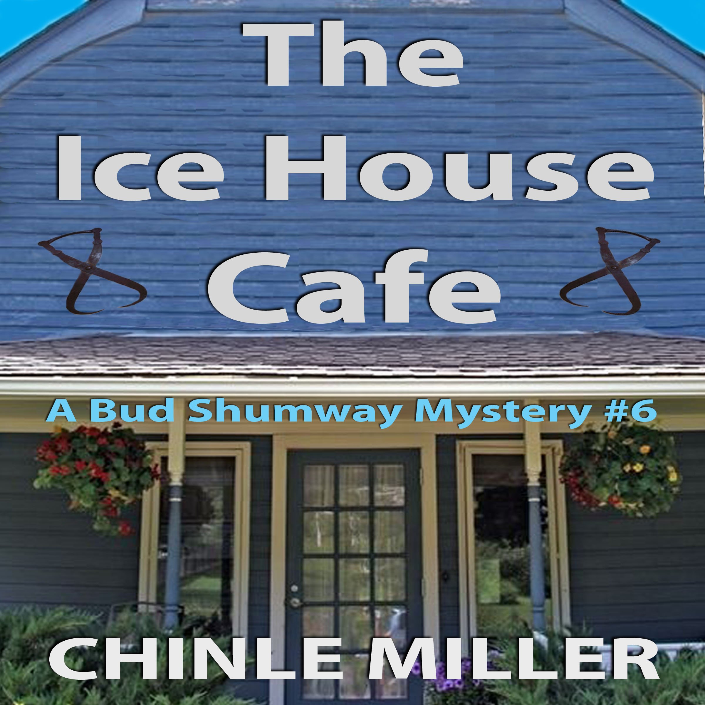 Cover art for The Ice House Cafe