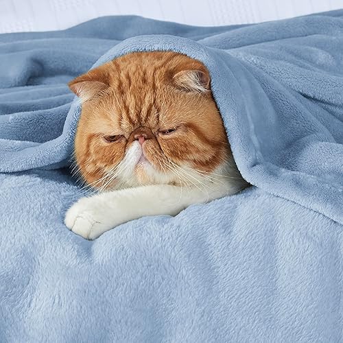 Miniatura 3 de Bedsure Mantas de forro polar, tamaño individual, color azul claro, 10.58 ozm, ligeras, mullidas, acogedoras, suaves, para cama, sofá, viajes,
