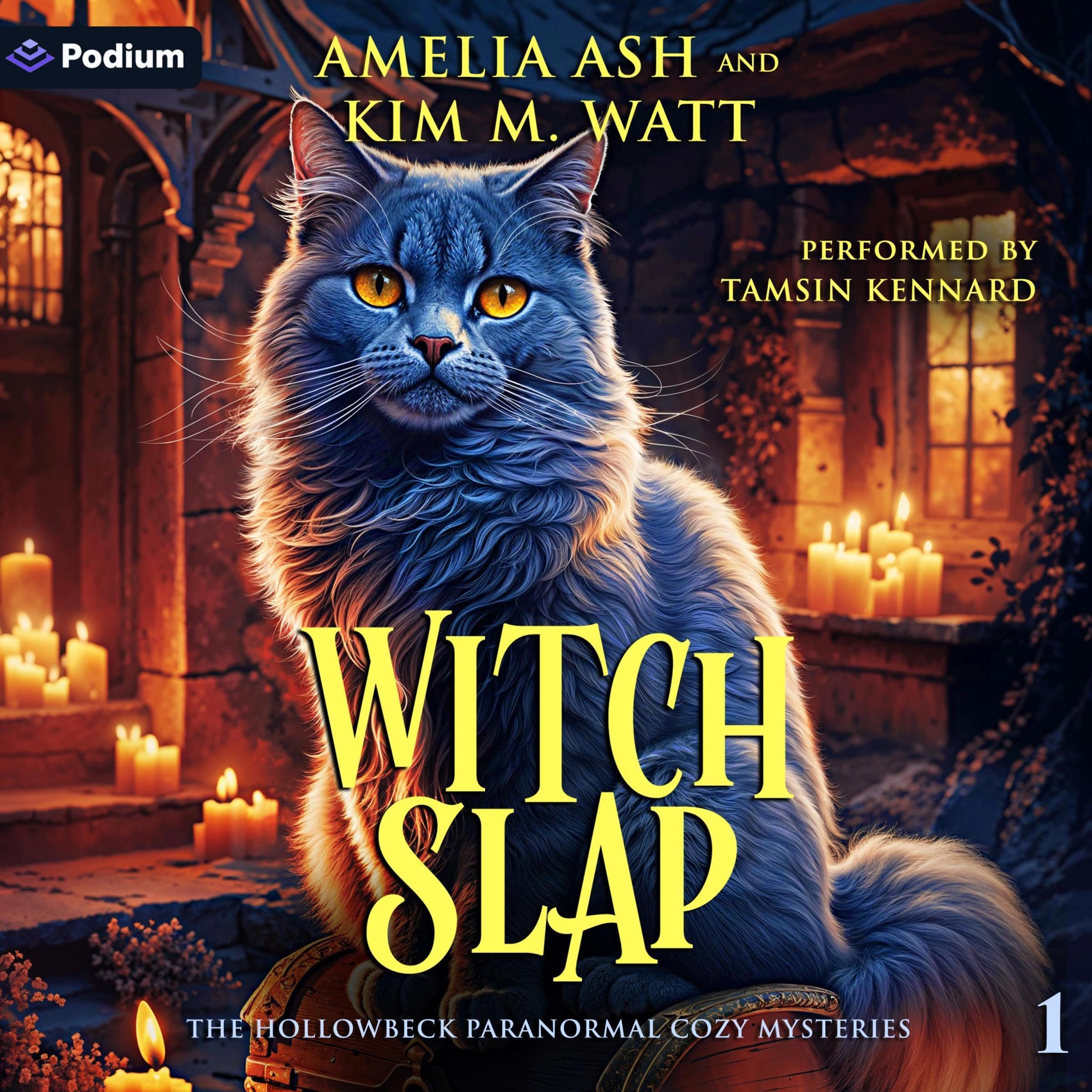 Cover art for Witch Slap
