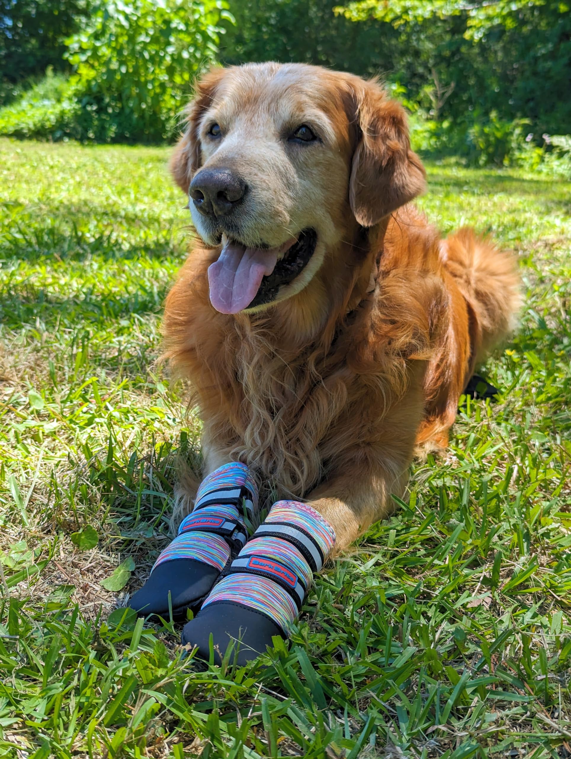 Allwetter-Neopren-Hundeschuhe mit reflektierenden Riemen, in 5 Größen! (Mehrfarbig, Large)