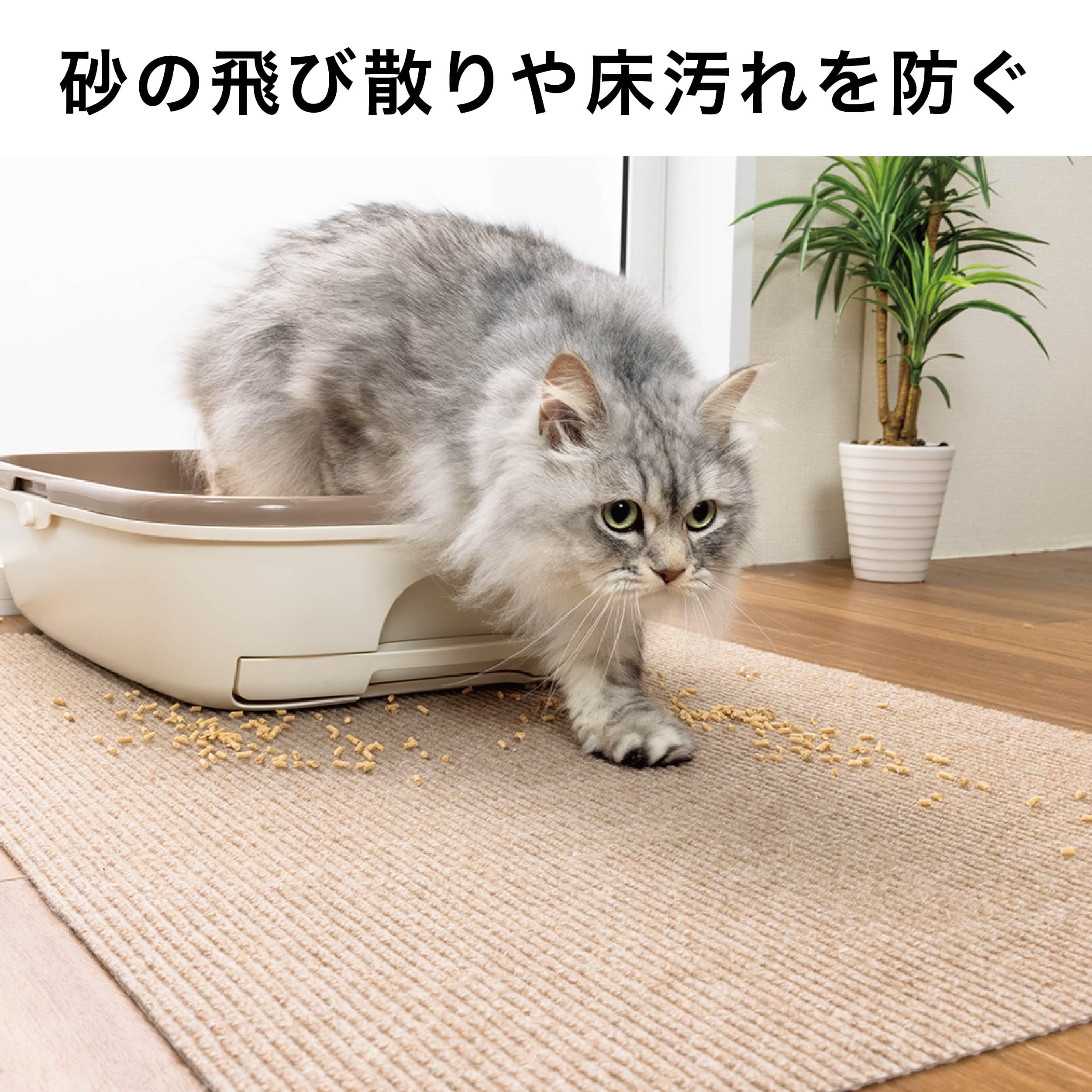 Amazon | サンコー おくだけ吸着 猫 トイレ 下敷き マット ベージュ KX