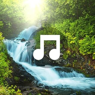 Relaxing Nature Sounds - Relaxing Music Ocean Sounds Meditation Mindfulness Peaceful Sleep