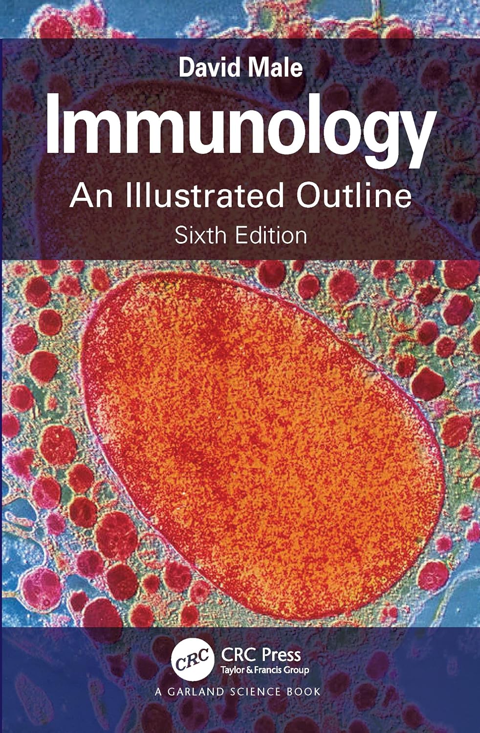 Immunology: An Illustrated Outline      6th Edition