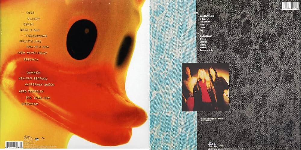 洋楽 NIRVANA - Nevermind incesticide EU1992LP Incesticide - Album by Nirvana | Spotify