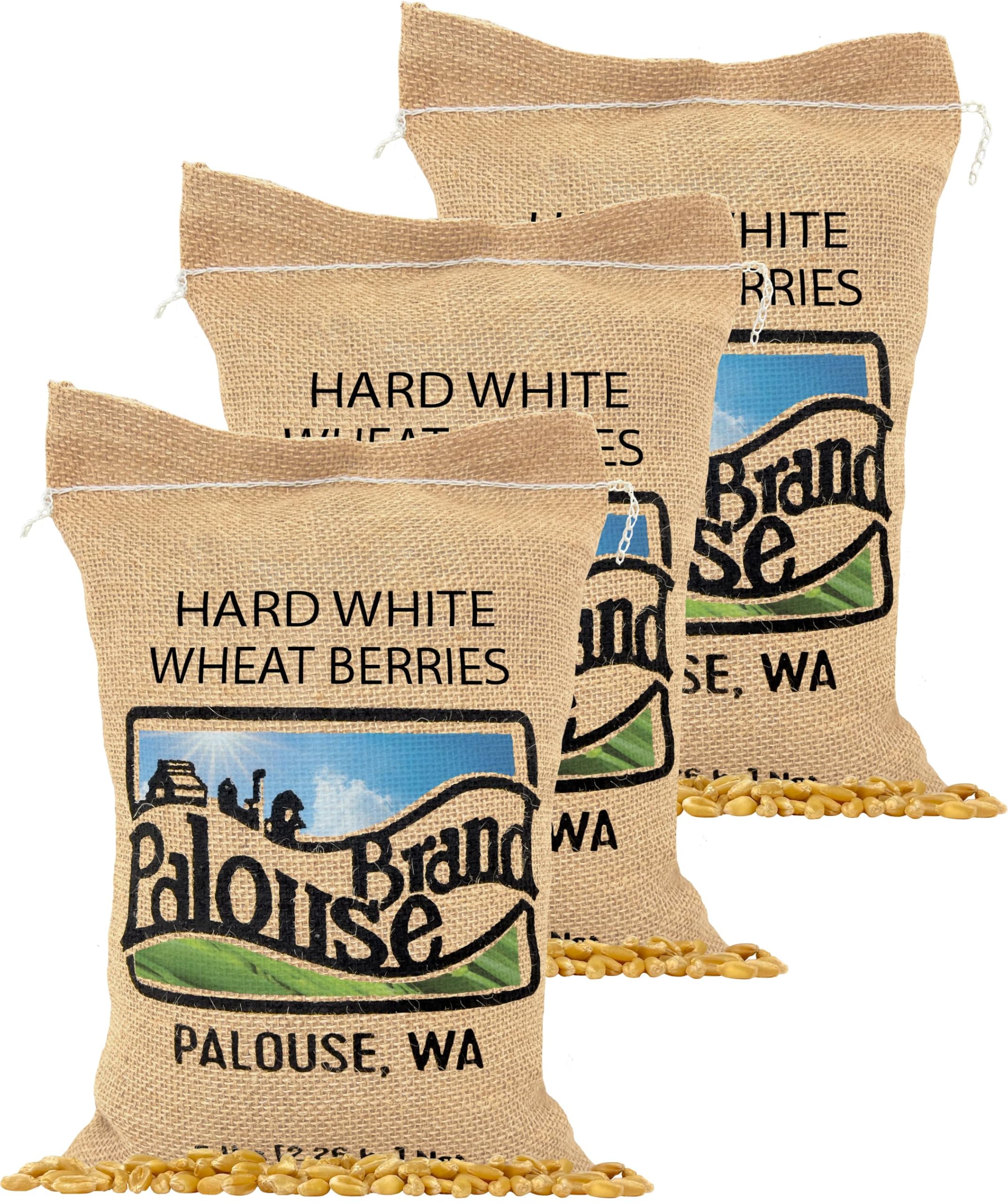 Certified Glyphosate Residue Free | Hard White Wheat Berries | 15 LBS | 3 Pack | Family Farmed in Washington State | Non-GMO Project Verified | Kosher