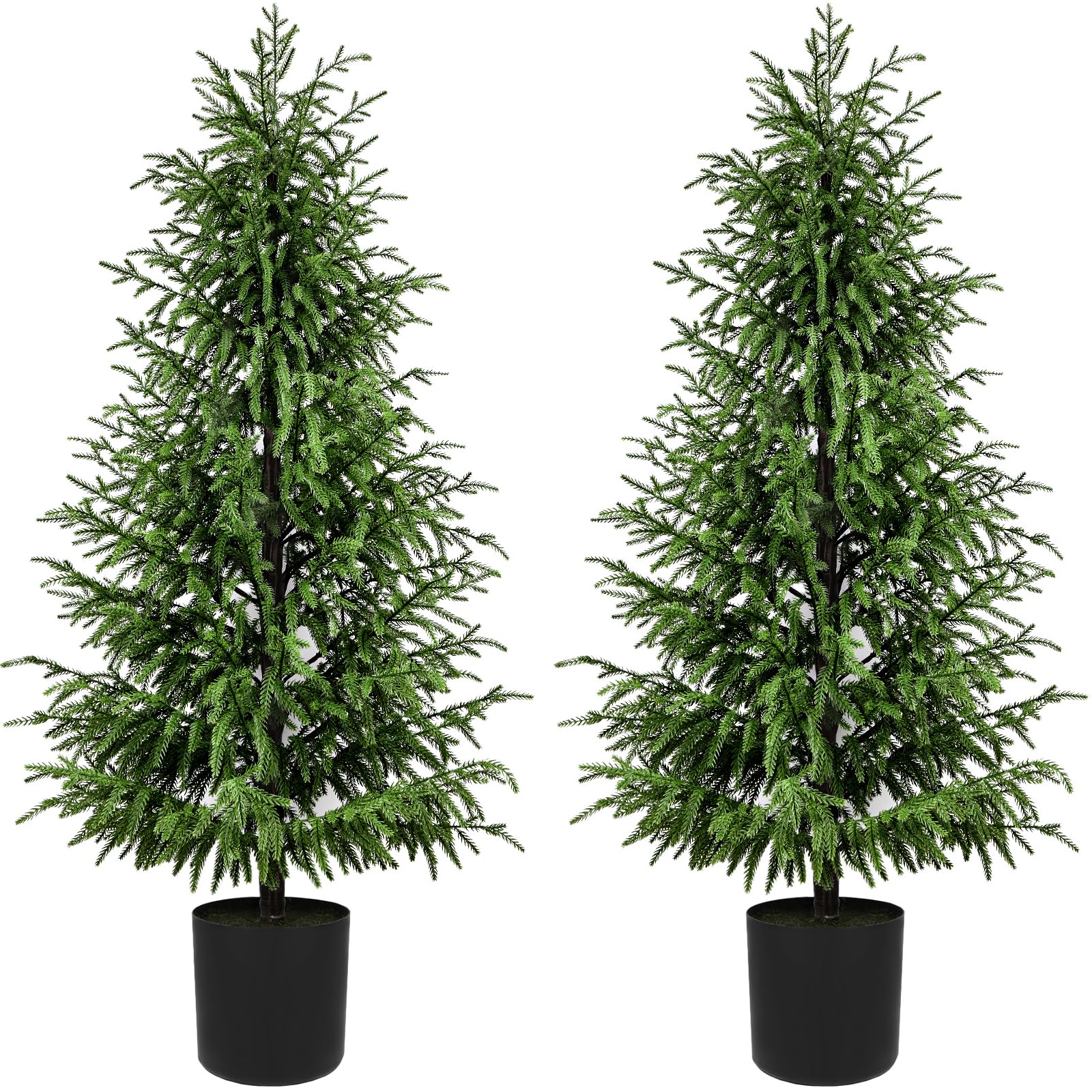 ENVEN 5FT Norfolk Pine Tree 2Pack