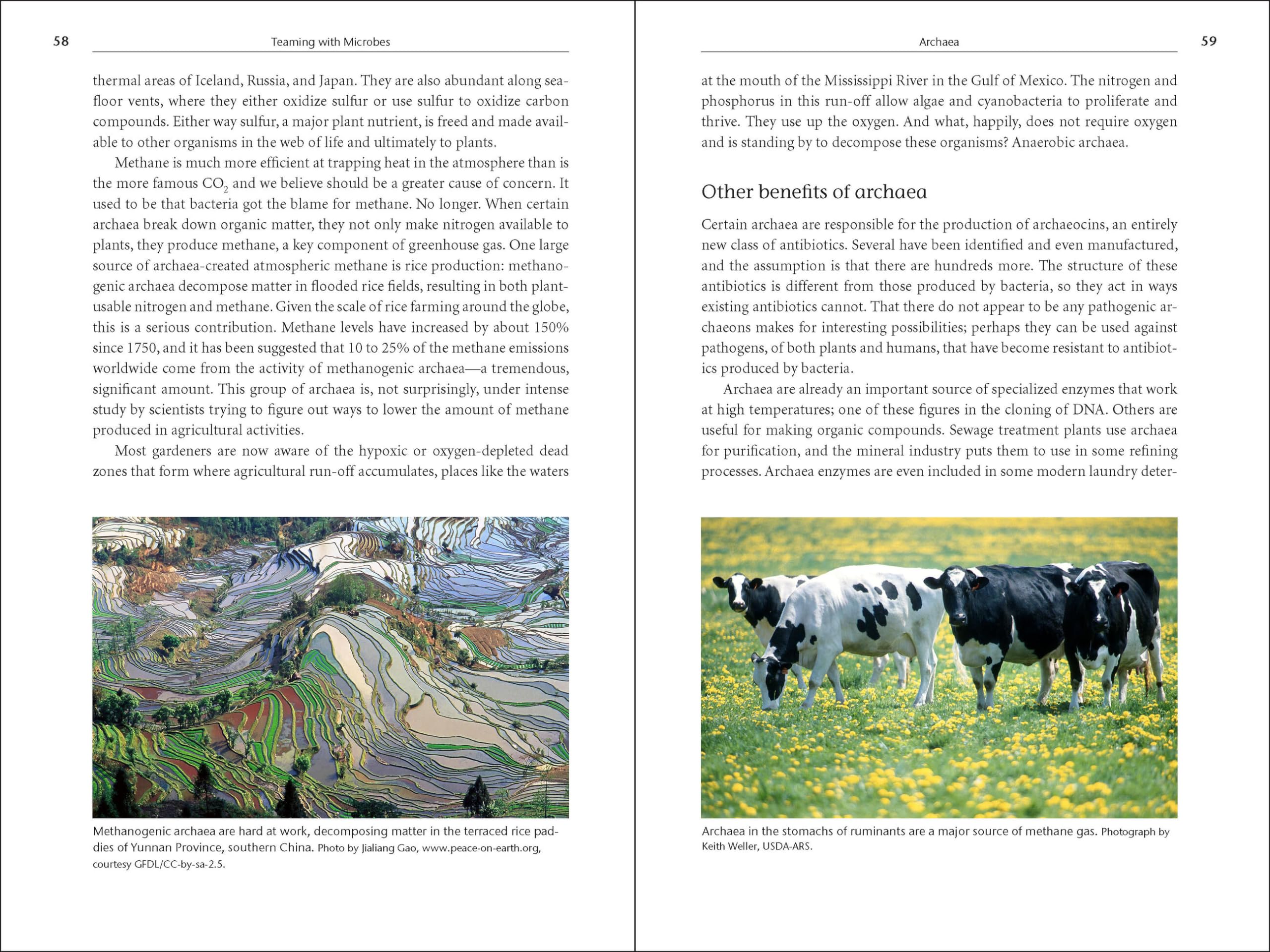 Teaming with Microbes: The Organic Gardener's Guide to the Soil Food Web