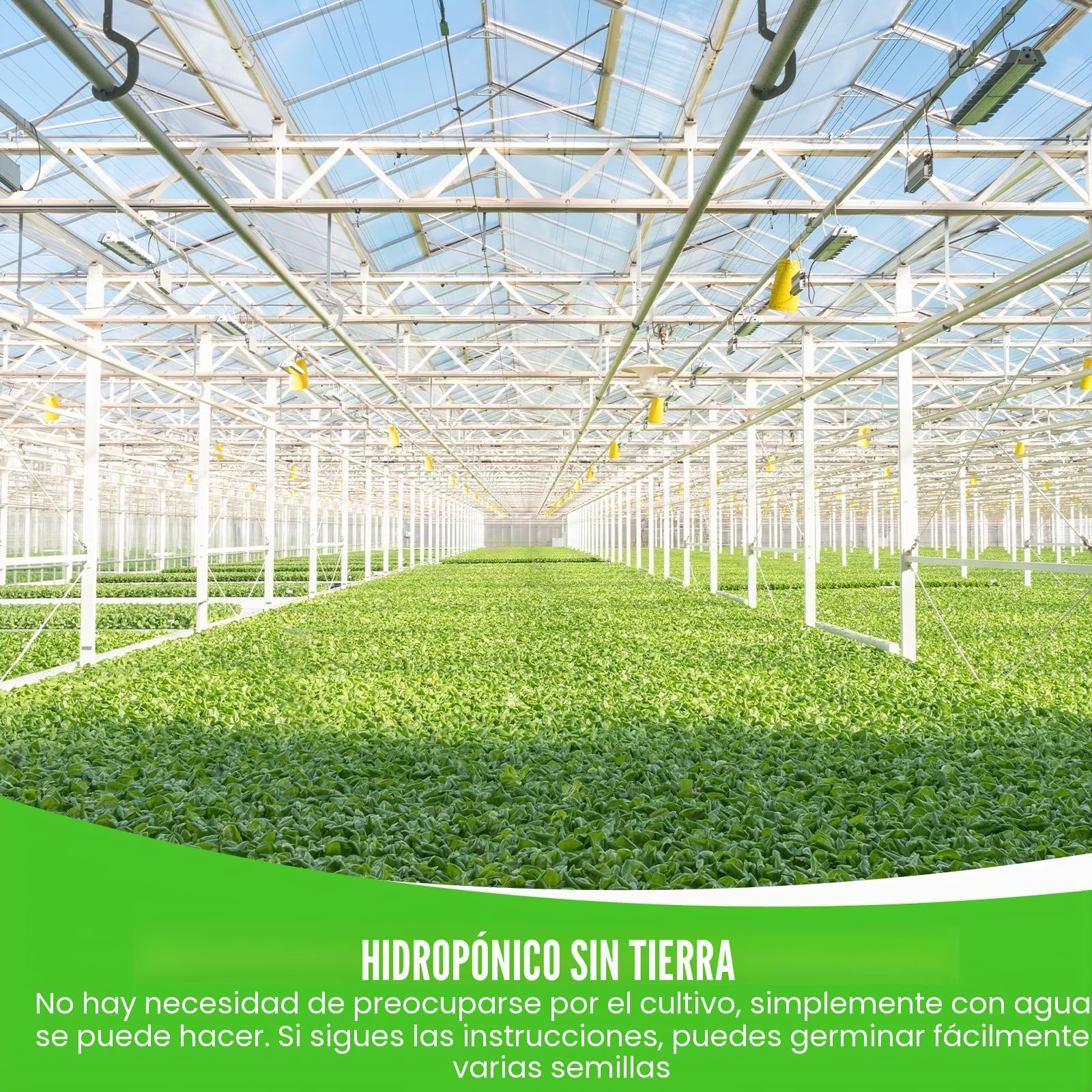 5 bandejas para brotes, juego de cultivo de brotes, berros, recipiente para germinar pasto de trigo, bandeja de germinación, para el cultivo de frijoles mungo alfalfa y hierba de trigo, 32,5 x 23,5 x