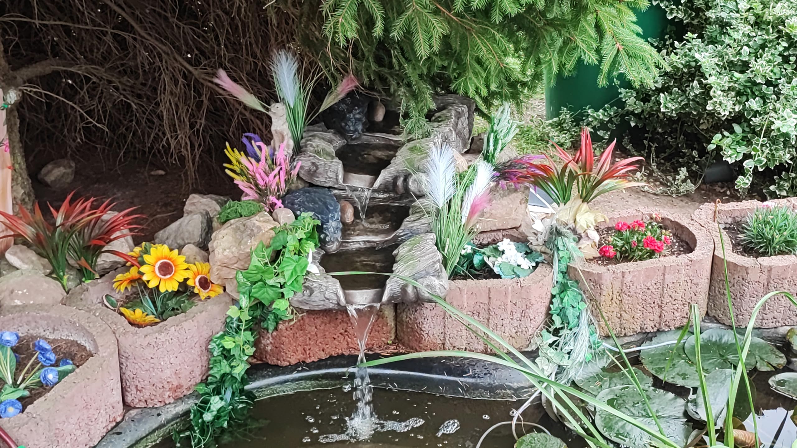 Meidoorn op stam: prachtige boom voor uw tuin kopen