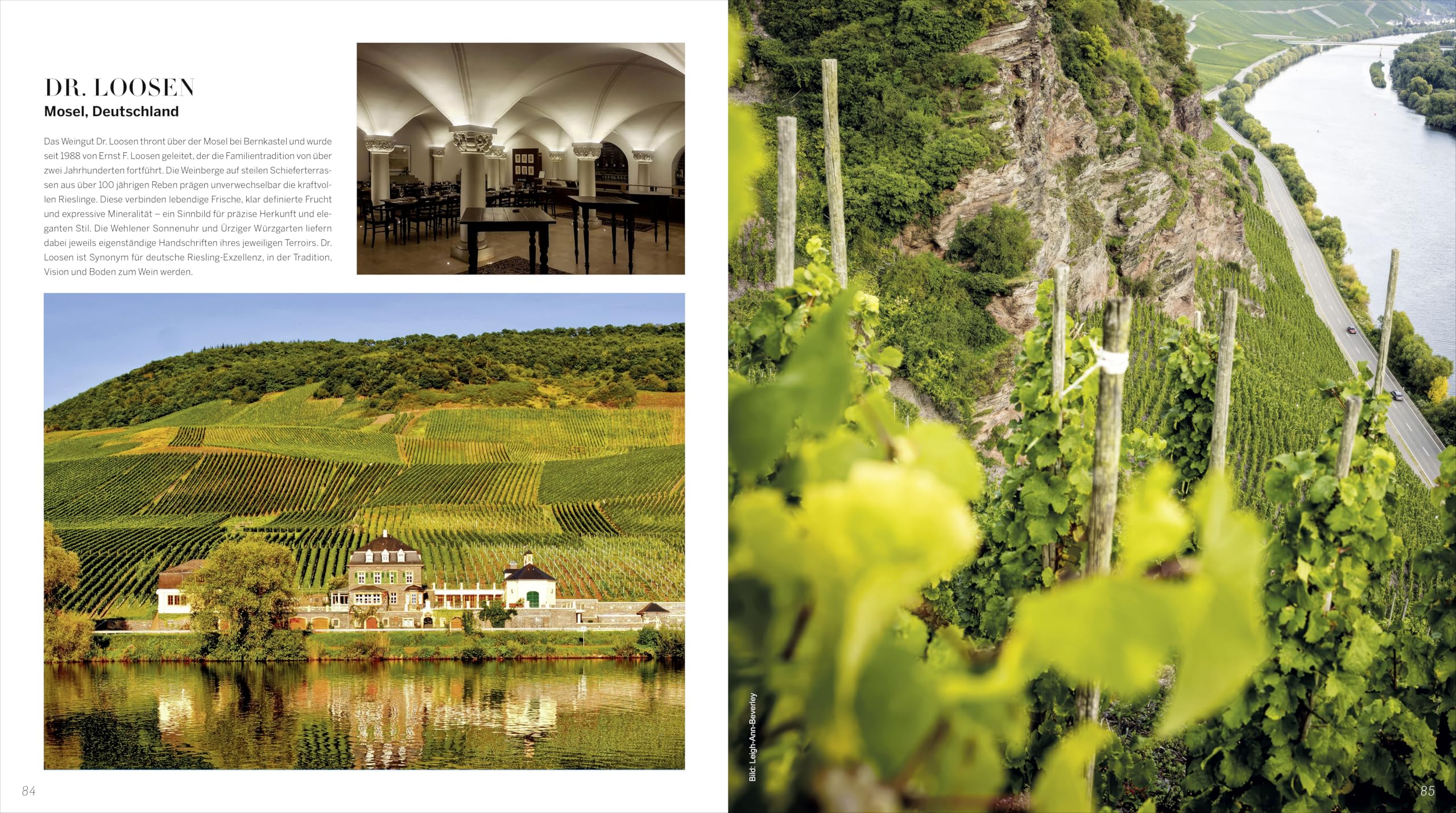 99 WUNDERBARE WEINGÜTER: Ein Bildband über die schönsten Weingüter der Welt und ihre Weine. Architektur, Landschaft und Weinkultur in einem exklusiven Weinbuch für Weinliebhaber.