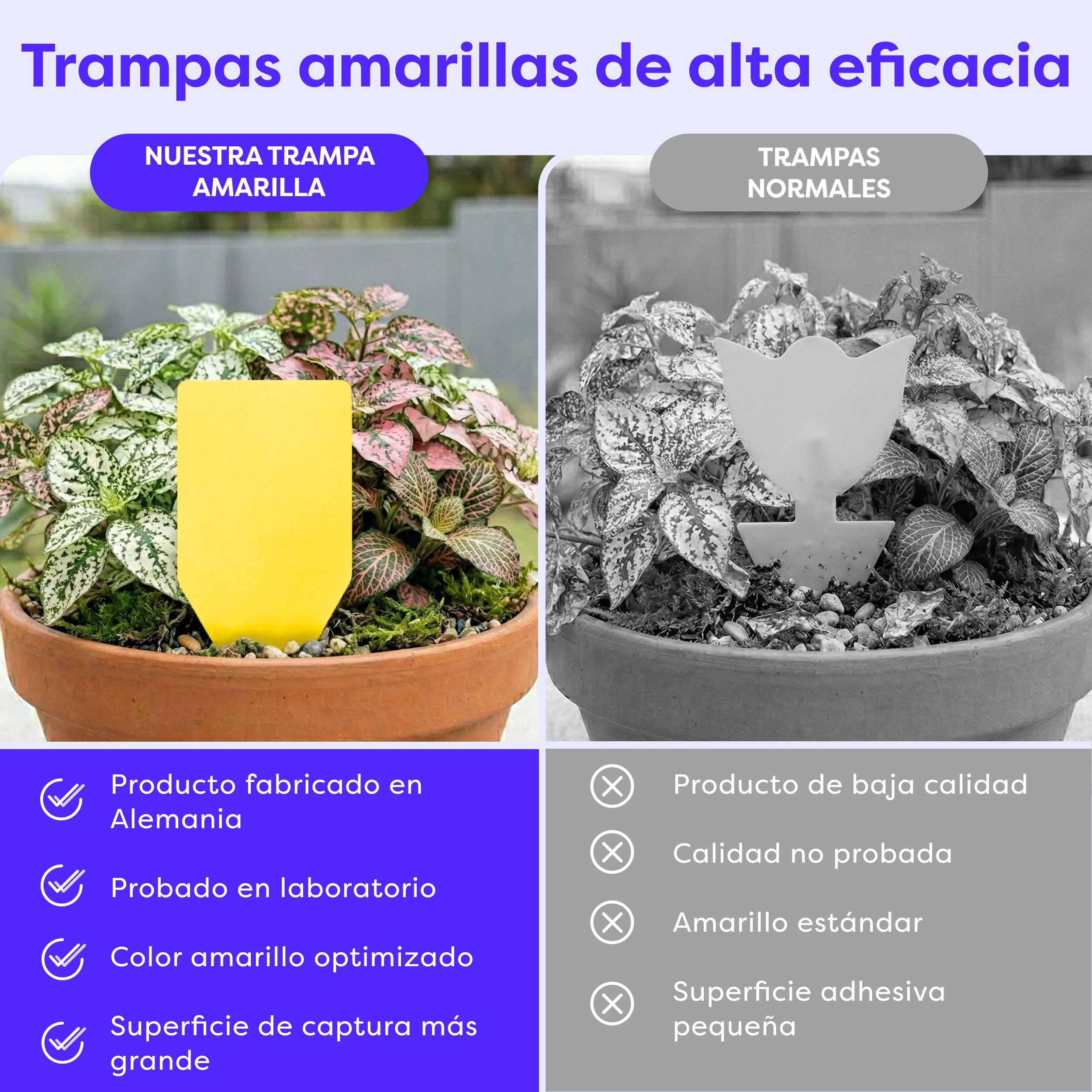 Wolkenfeld Trampa Moscas Plantas 60 Piezas Pegatinas – Trampas Amarillas para Insectos, Atrapa Mosquitos Adhesivo Doble Cara, Sin Insecticida – Interior, Macetas y Invernadero – Made in Germany