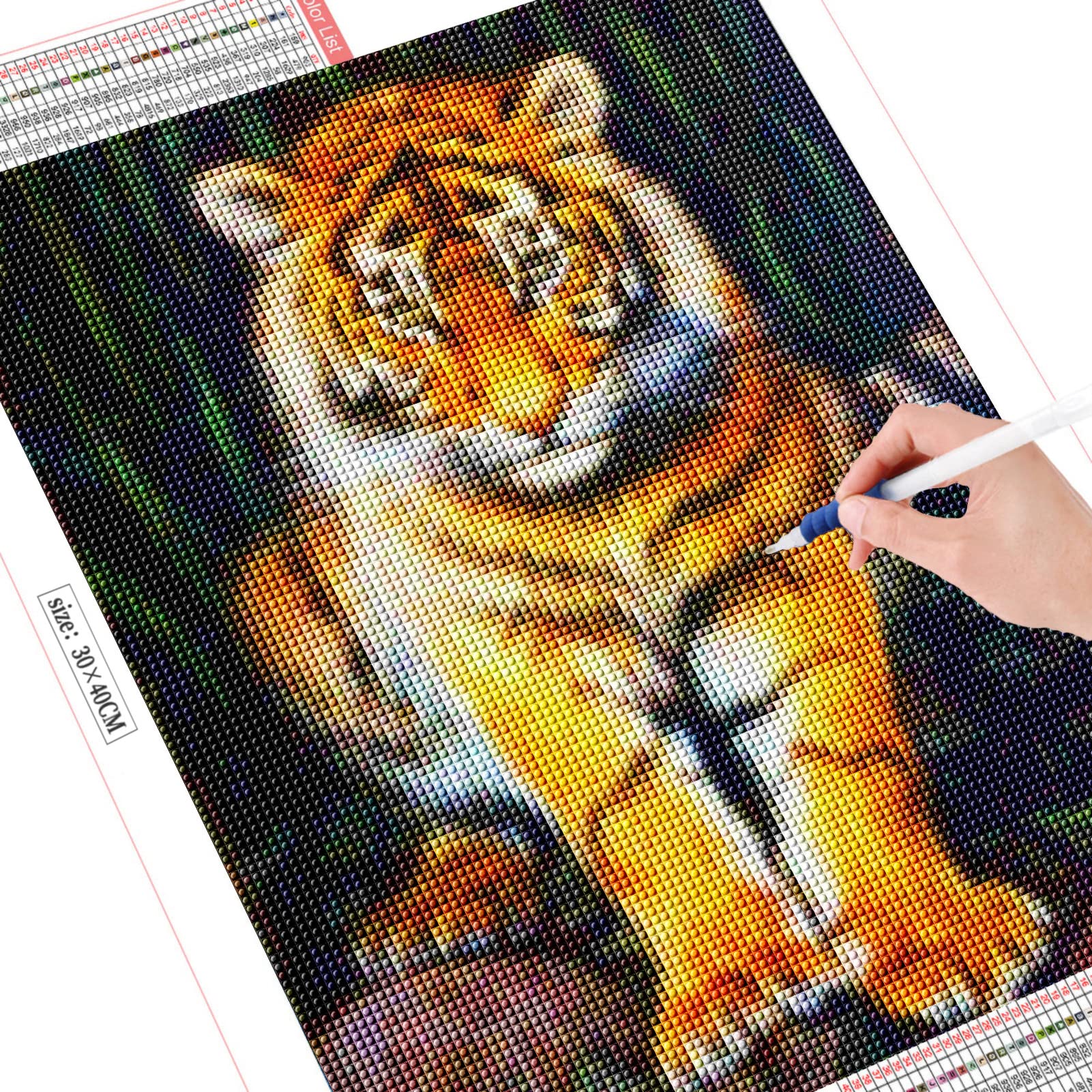 EXQULEG 5D Diamond Painting Set, 30x40 Cm – DIY Diamantbild, Rund-Strass, Mit Werkzeug, Entspannendes Hobby, Wanddekoration (ohne Rahmen)