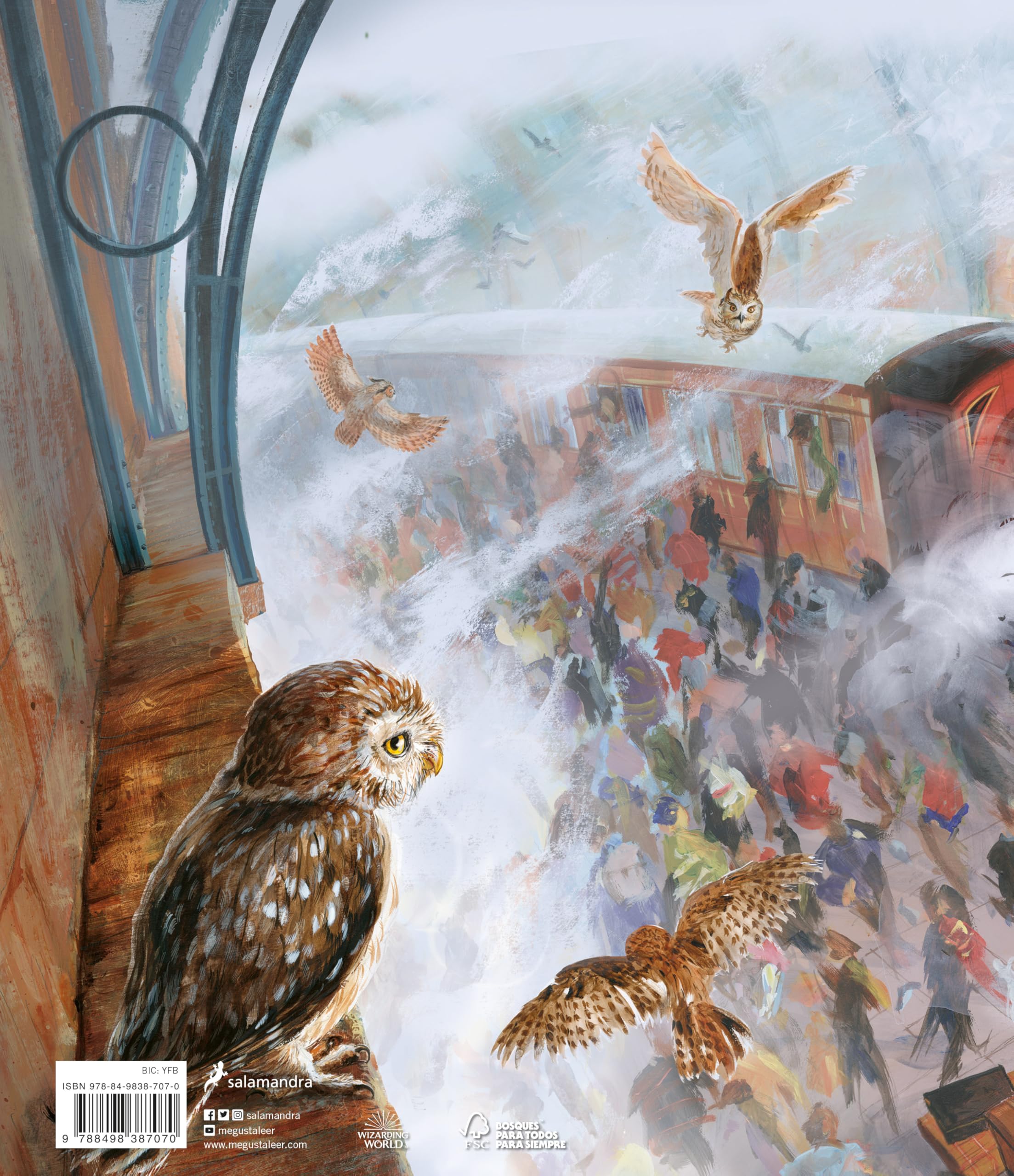 Harry Potter y la piedra filosofal (Harry Potter [edición ilustrada] 1)