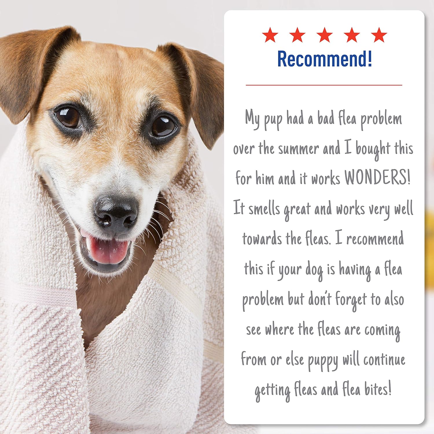 Adams Plus Flea and Tick Shampoo with Precor for Cats and Dogs, 24 ounces : Everything Else