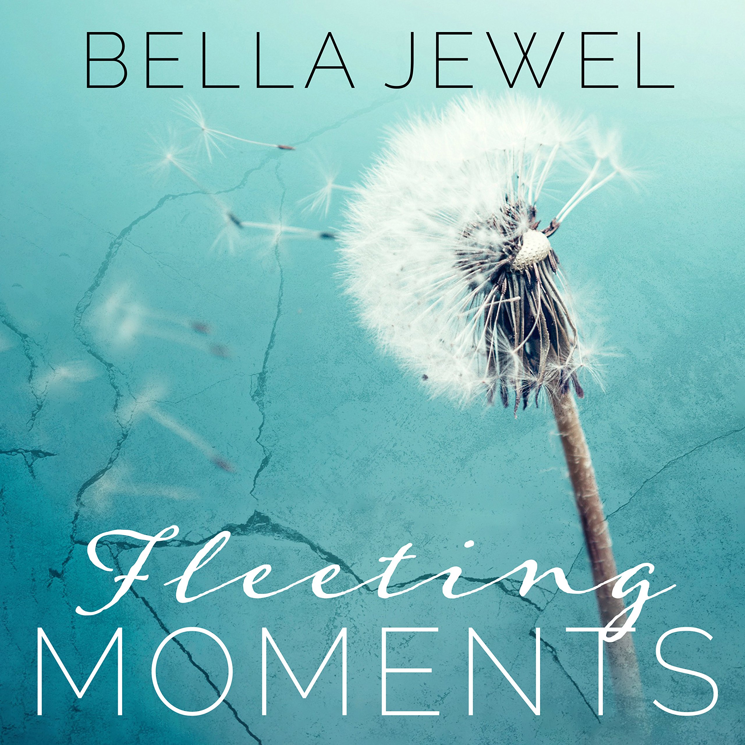 Cover art for Fleeting Moments