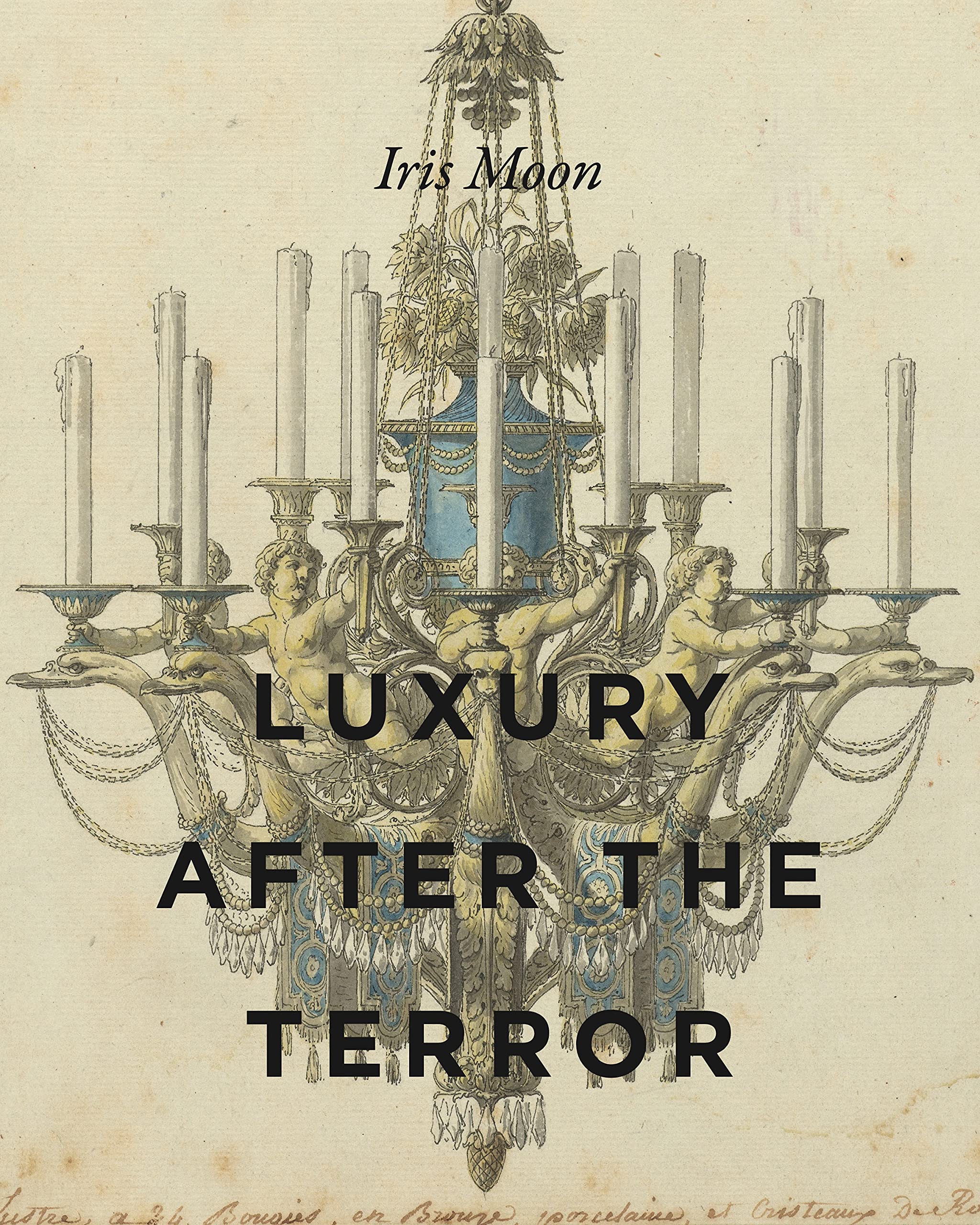 Luxury after the Terror English Edition livre histoire de l'art français