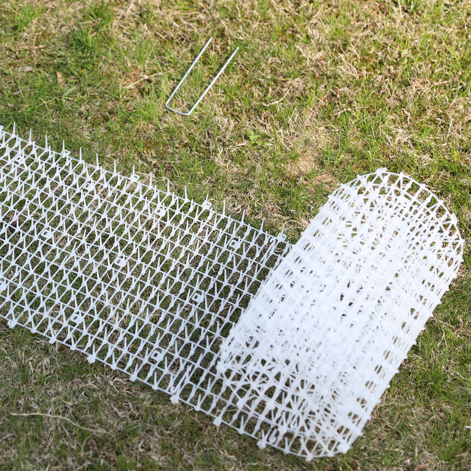 Buy Hmyomina 13ft Garden Cat Scat Spike Mat, AntiCats Network Digging