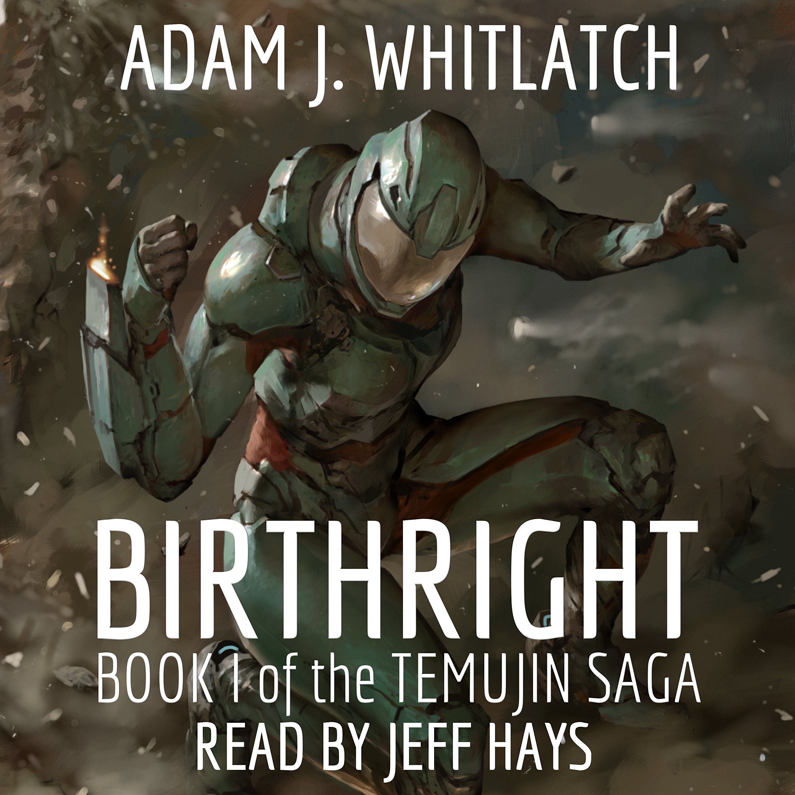 Cover art for Birthright: Book I of the Temujin Saga
