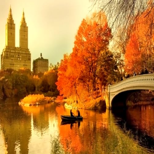 Beautiful Quotes Free Application for Kindle Fire Tablet   Phone HDX HD