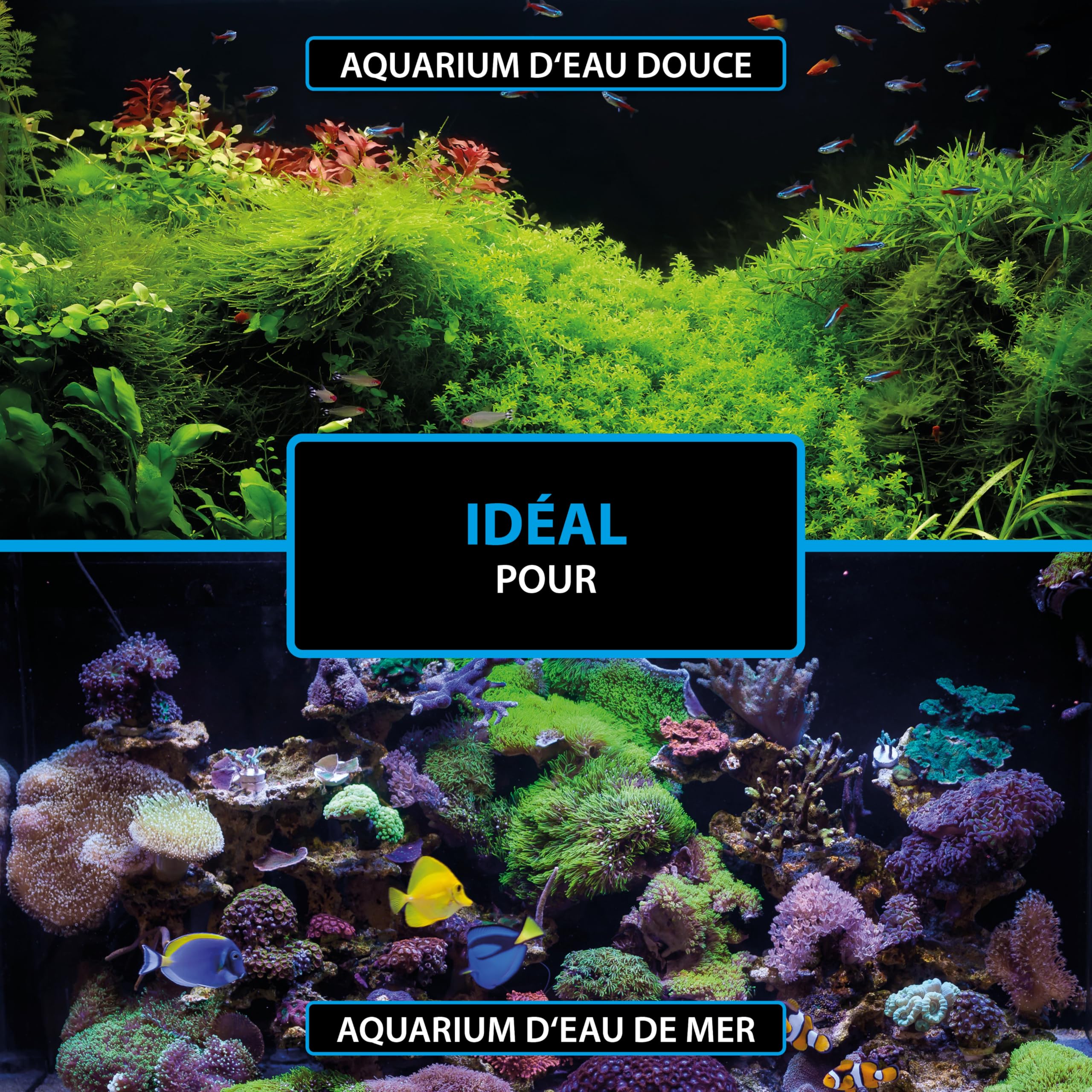 Bactéries Aquarium 50 ML – ARKA Bacto-Shot – clarifie l’Eau en 24h – bactéries vivantes nettoyantes & filtrantes avec Support Naturel – idéal en Cas de nitrites, Trouble ou démarrage