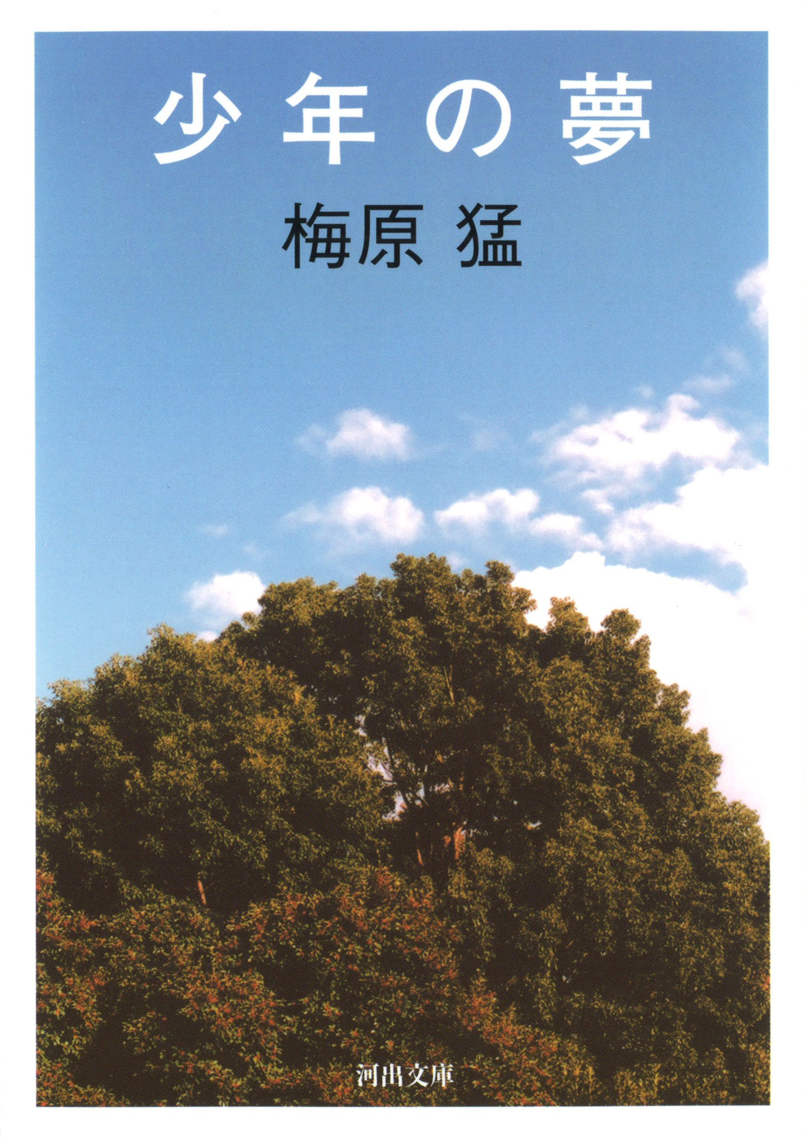 Amazon.co.jp: 少年の夢 (河出文庫 う 13-1) : 梅原 猛: 本