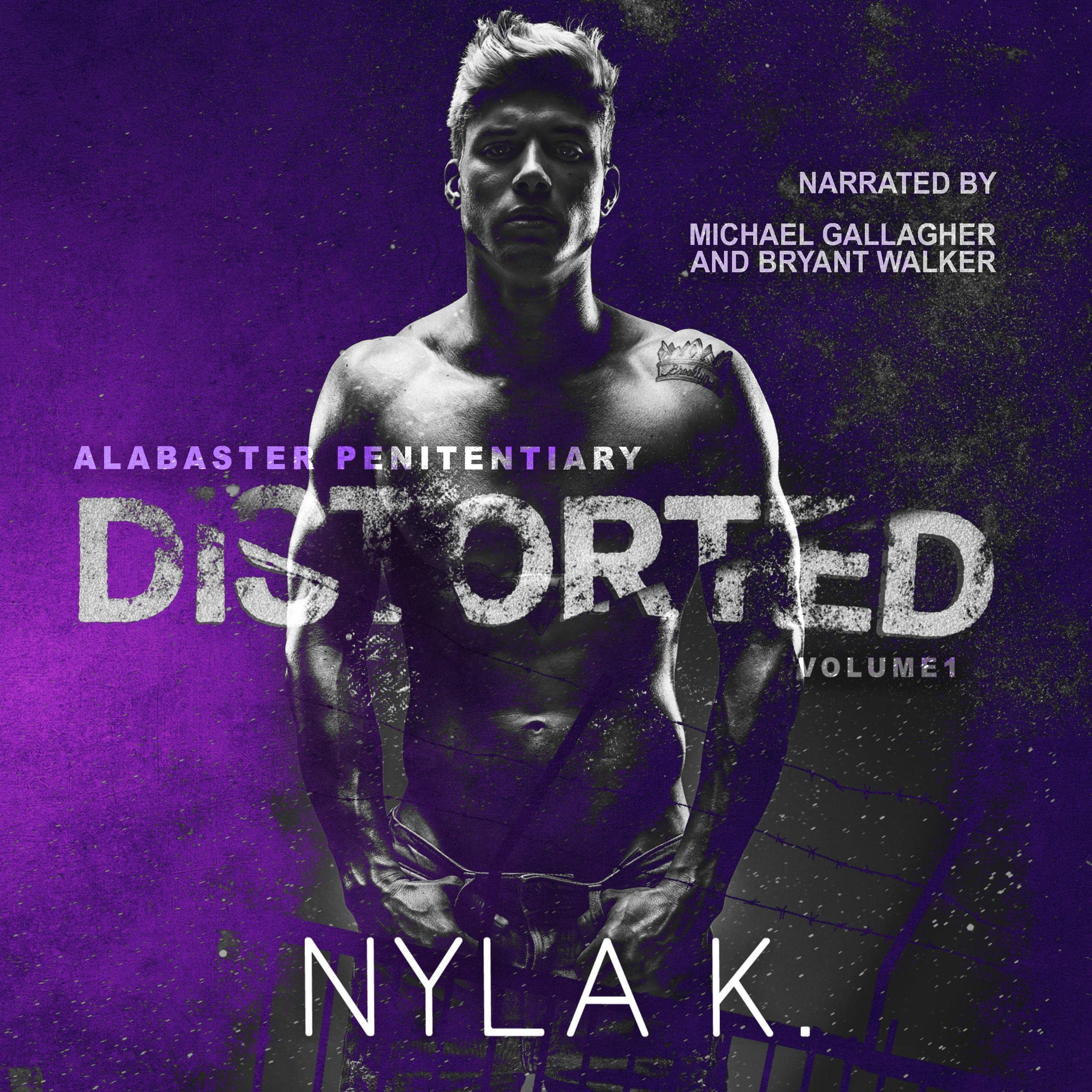 Cover art for Distorted