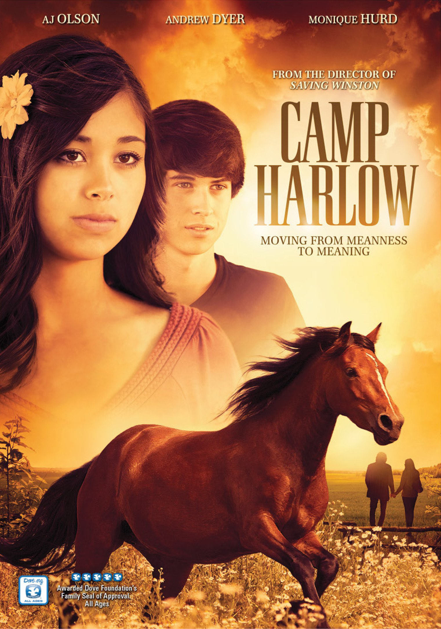 Cover of Camp Harlow