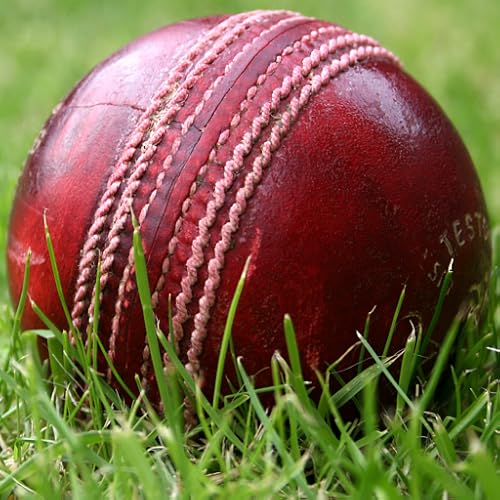 Cricket In My Pocket
