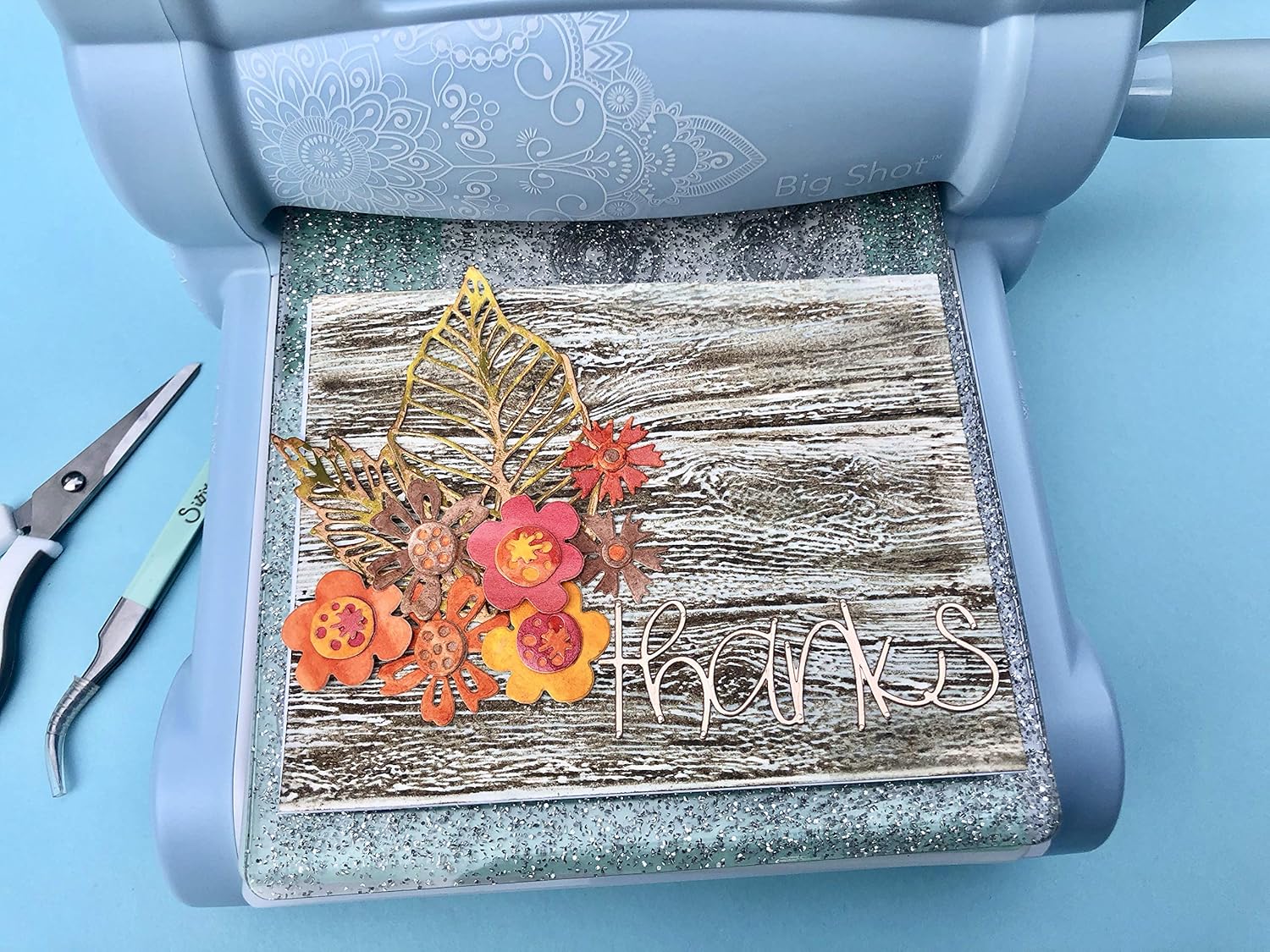 Sizzix TH Thinlits Skeleton Leaves, None