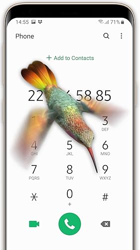 Pássaro no telefone: beija-flor voando piada