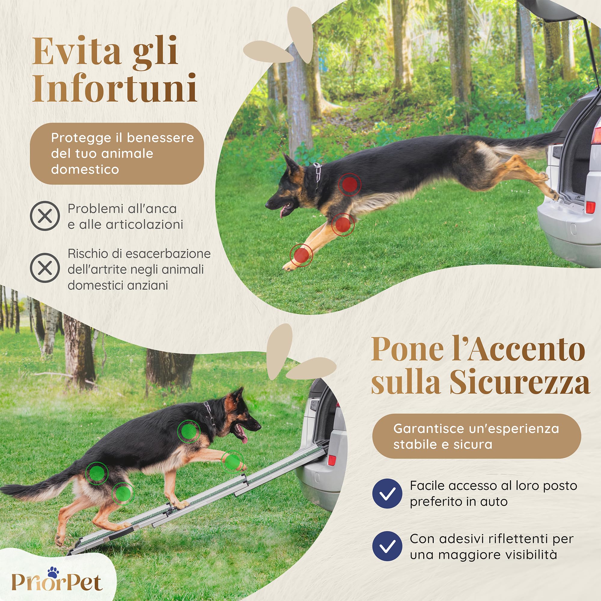 Rampa per Cani per Auto, SUV – STABILI – ANTISCIVOLO – Capacità 90 kg. – Rampe Estensibili per Cani di Grossa Taglia – Lati Riflettenti – Scale per Cani Leggere – Clip di Bloccaggio – Verde