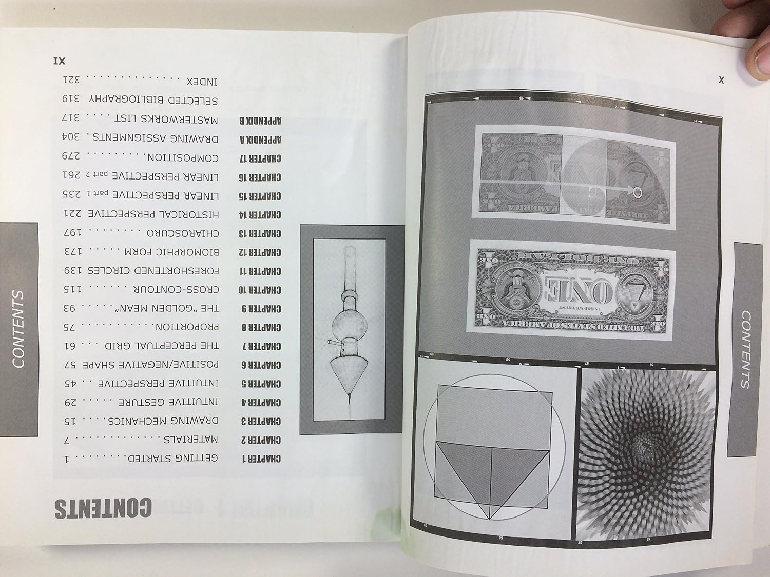 Drawing from Observation: An Introduction to Perceptual Drawing