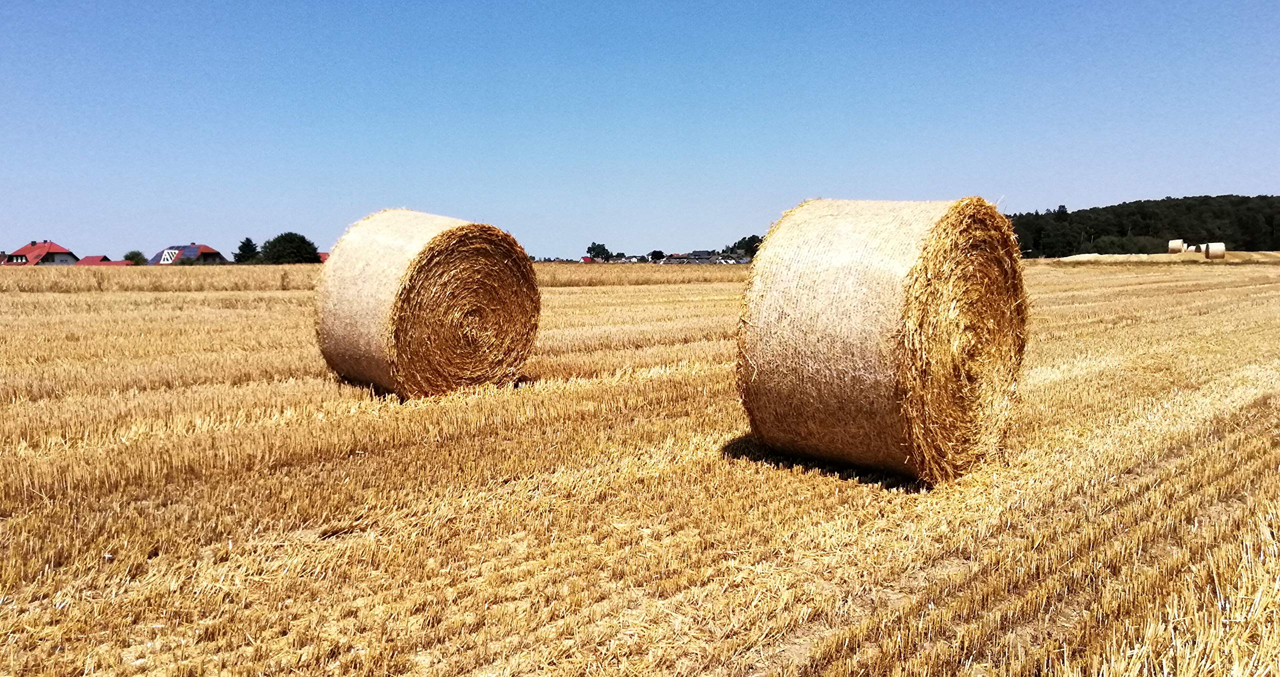 Echter Deutscher Honig - 6er Pack - 6x500g Sommerblütenhonig/Sommertracht - ungefiltert, fein gesiebt - Qualität aus Hessen