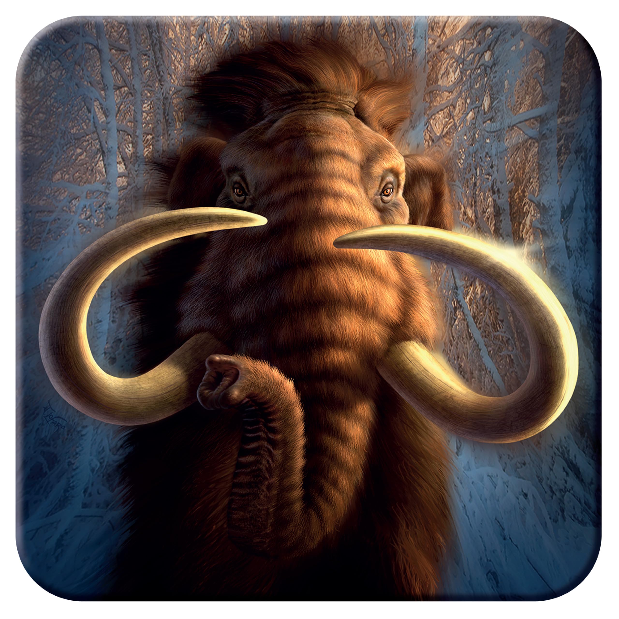 3D Livelife Women's Mammoth Cork Coaster - From Deluxebase. Lenticular Drink Coasters. Funny Gifts For And Men. Cute Novelty Kitchen Gift Ideas And Decorative Home Accessories