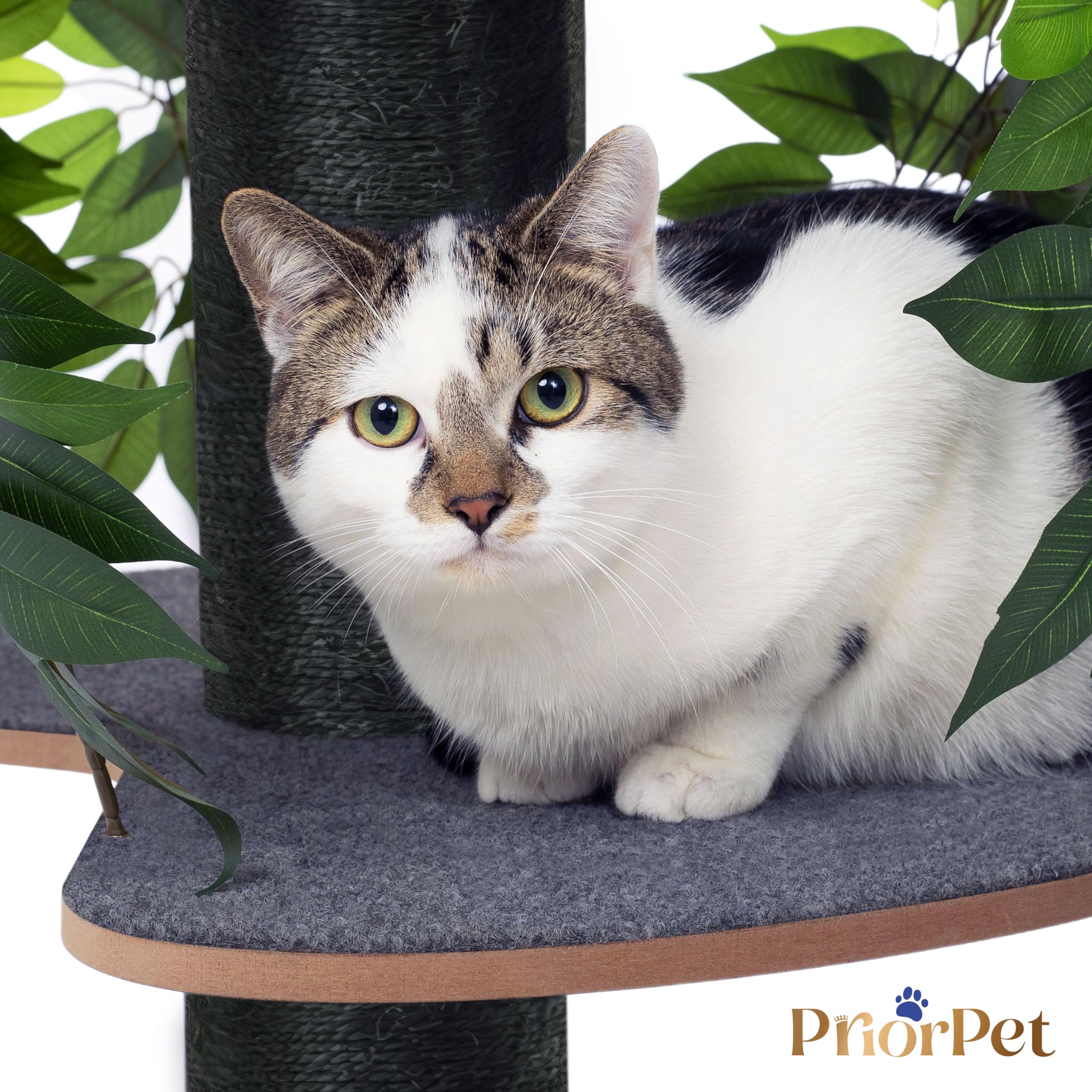 Albero per gatti con Foglie Intercambiabili - Brevettato Tiragraffi per Gatti Adulti, per Arrampicarsi Nascondersi e Dormire - Più Livelli, Facile da Montare - Tiragraffi Gatto Costruzione Robusta