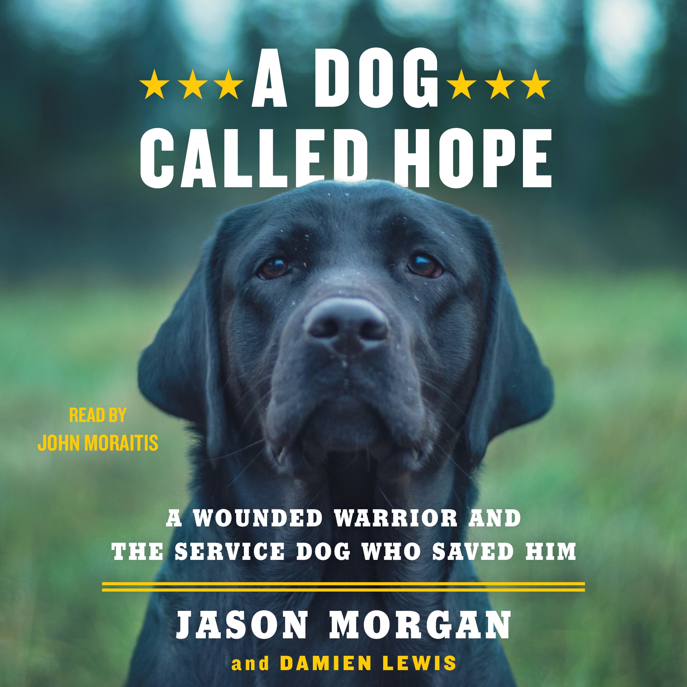 Cover art for A Dog Called Hope