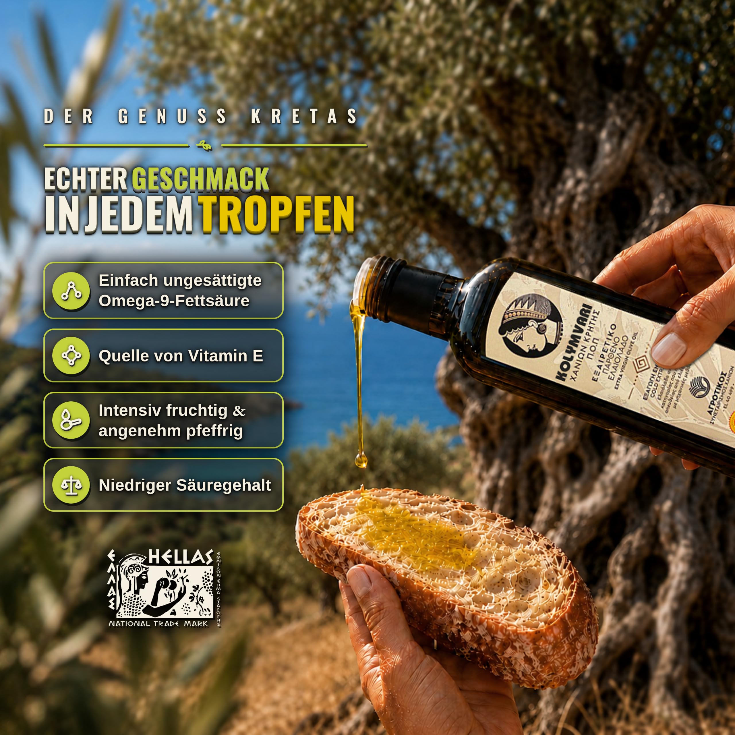 Kolymvari g.U. | Extra Natives Olivenöl | 5 Liter Kanister – Kreta, Griechenland | Premium Olivenöl | 100% Koroneiki Oliven | traditionelle Handernte | Kaltextraktion | niedriger Säuregehalt